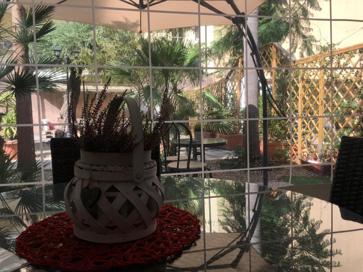 كاتانيا B&B Liberty 900 المظهر الخارجي الصورة